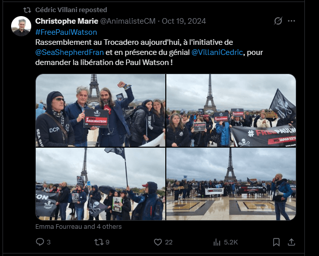 Hashtags sur X