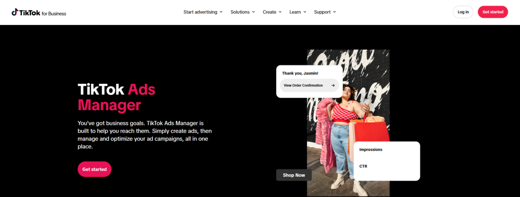 TikTok Ads manager